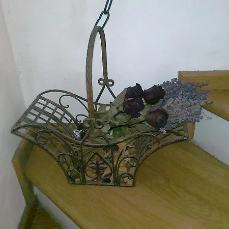 Guest house Na Hradbach